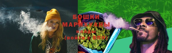 индика Лиски