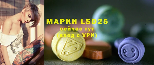индика Лиски