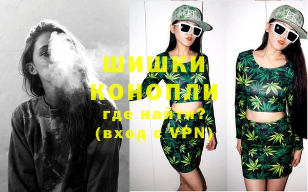 индика Лиски