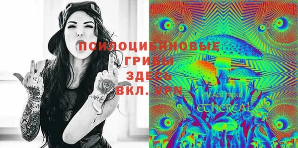 индика Лиски