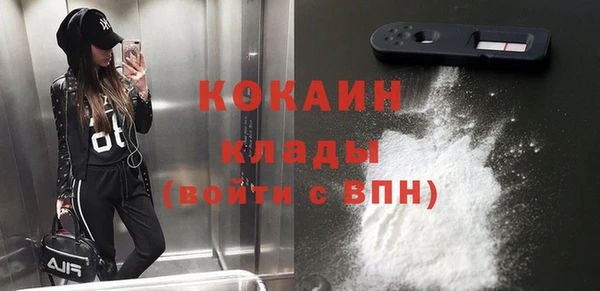индика Лиски