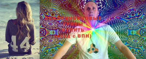 индика Лиски