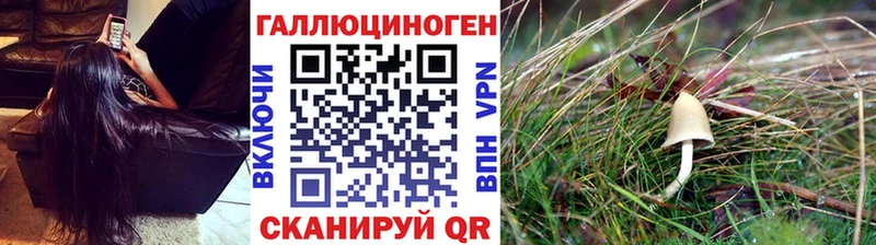 Купить где Майский Галлюциногенные грибы мухоморы